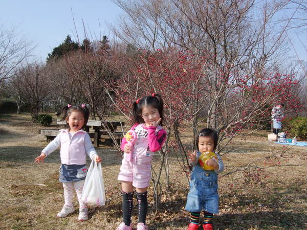 c0136640_165025.jpg