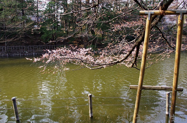a0009142_23272537.jpg