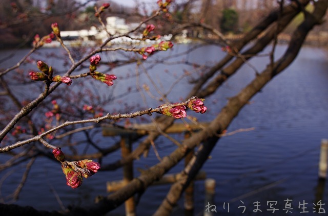 a0009142_2327311.jpg