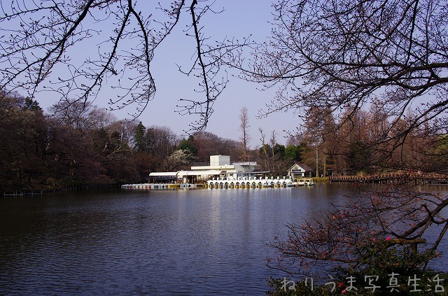a0009142_2327546.jpg