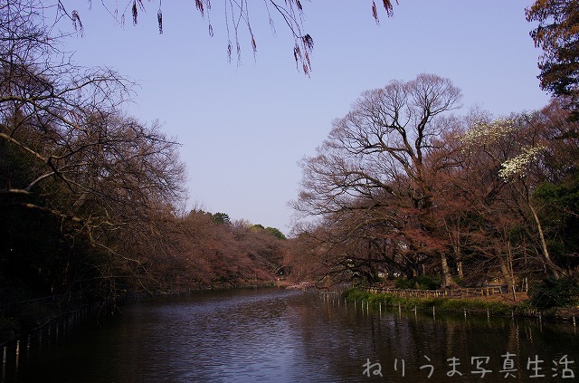 a0009142_2328945.jpg