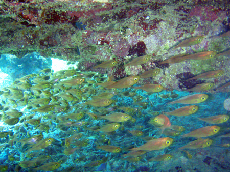 f0014842_1740519.jpg