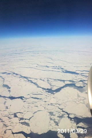 e0155643_20184018.jpg