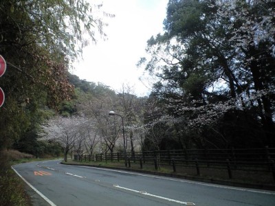 e0163044_14161510.jpg