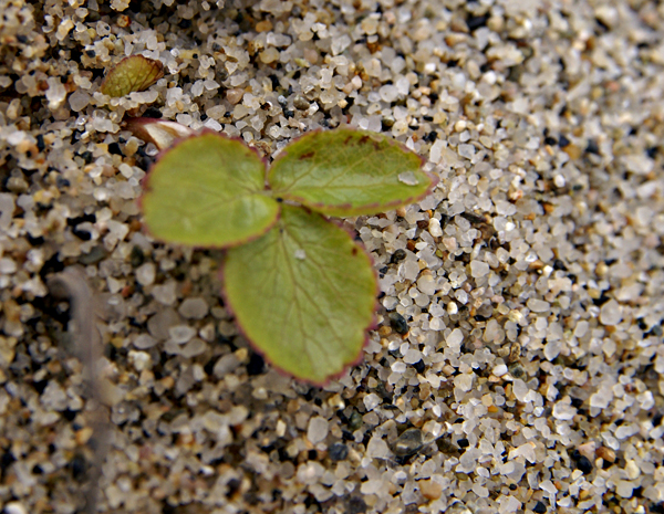 f0214649_5431620.jpg