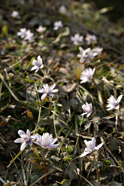 f0214649_547151.jpg