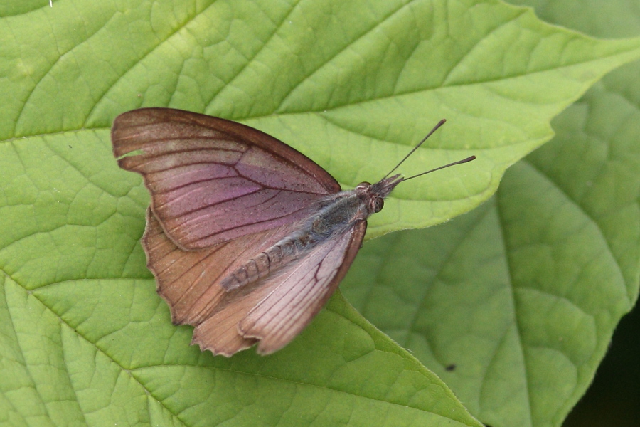 a0094850_14182810.jpg