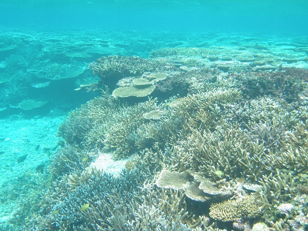 e0134752_19283724.jpg