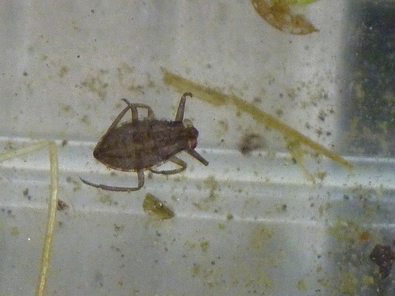 c0142963_204746.jpg