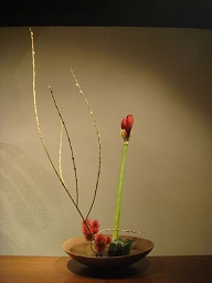 e0232779_849936.jpg