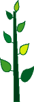 a0102580_19135713.gif