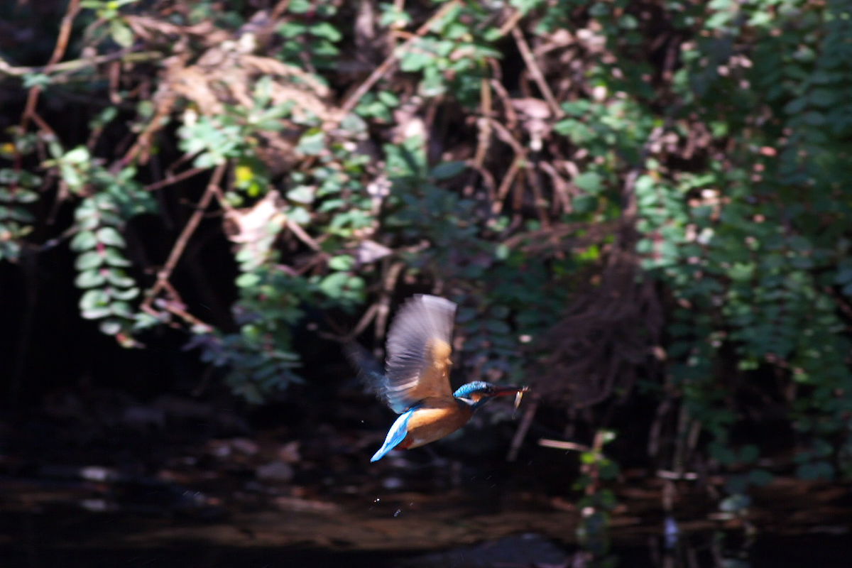 a0083081_1445693.jpg