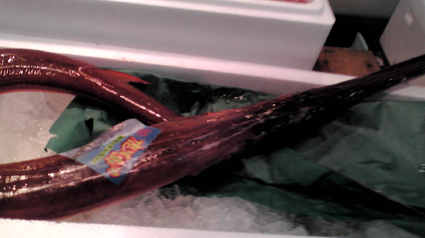 f0084695_1044765.jpg