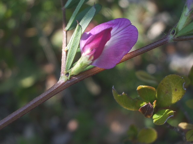 e0025300_1824750.jpg