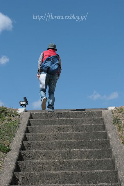 f0083400_2012970.jpg