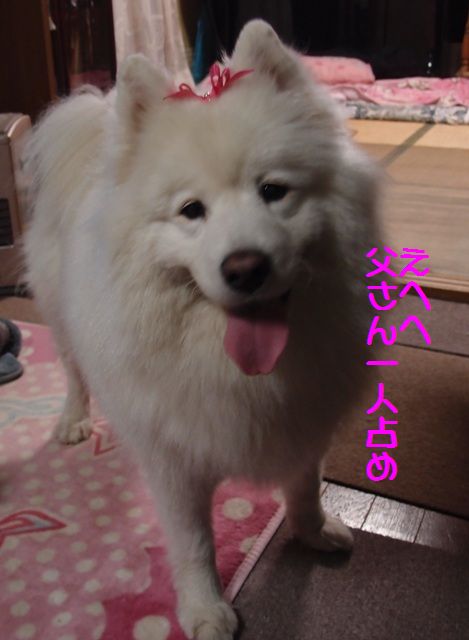 e0018604_14153552.jpg