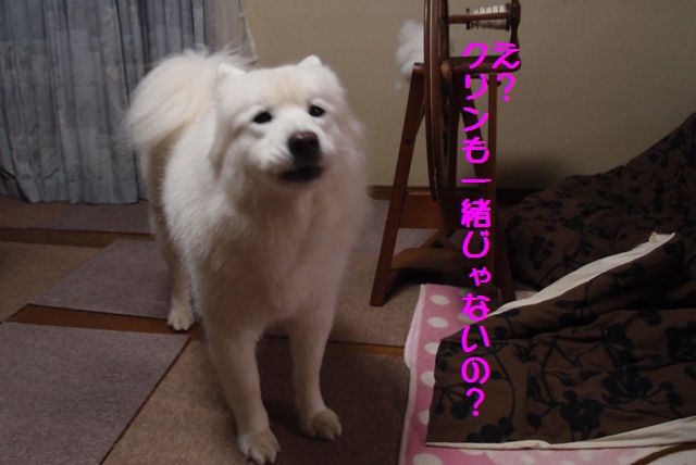 e0018604_1415484.jpg