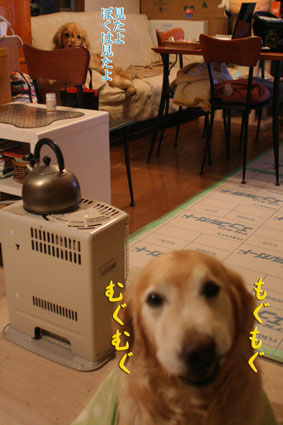 e0072606_2222675.jpg