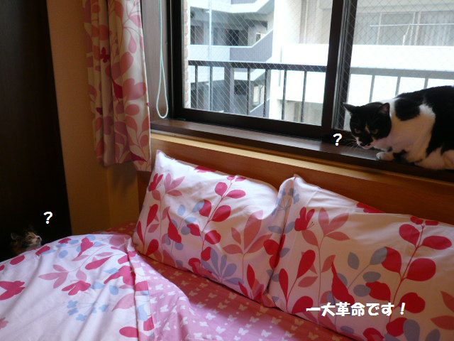 e0094407_23461638.jpg