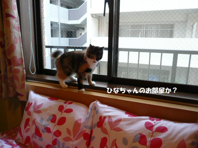 e0094407_23492310.jpg