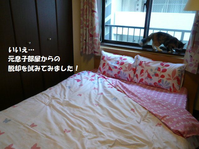 e0094407_23535672.jpg