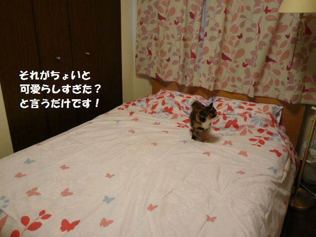 e0094407_23591254.jpg