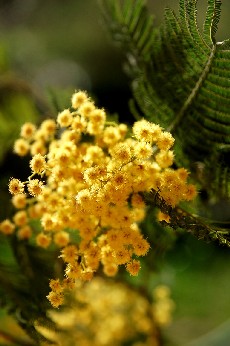 a0113208_18501110.jpg