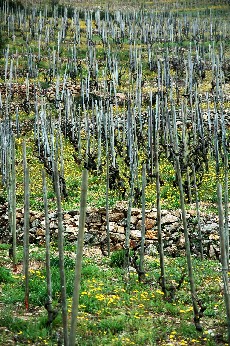 a0113208_22172024.jpg