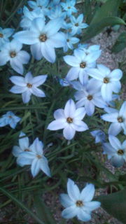 c0124908_22293259.jpg
