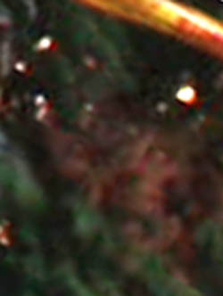 e0103408_13503154.jpg