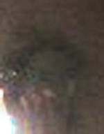 e0103408_1846046.jpg