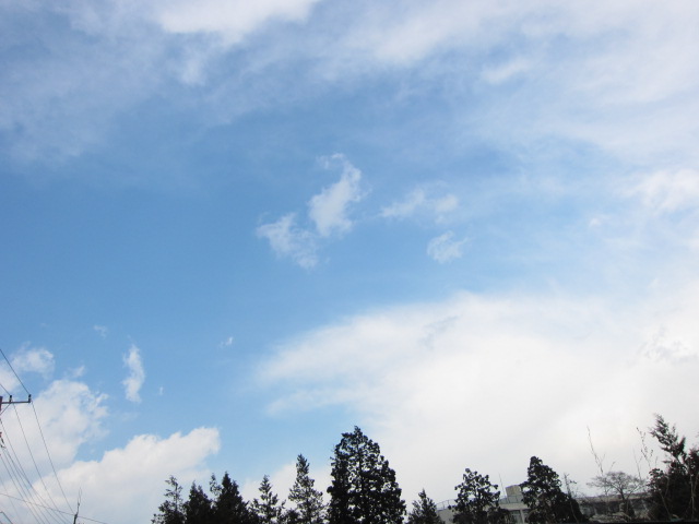d0150309_2111220.jpg