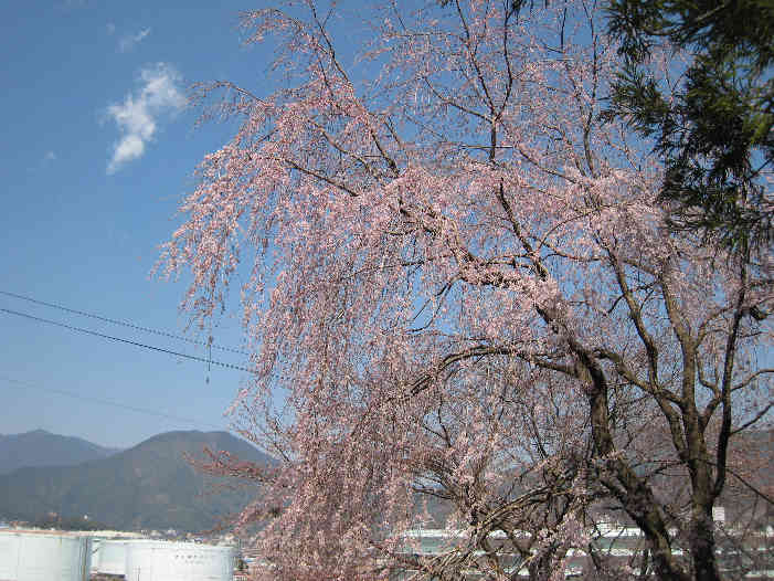 d0154609_14414830.jpg