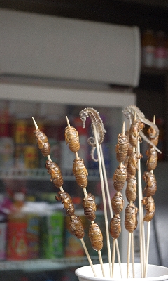 f0126515_22204030.jpg