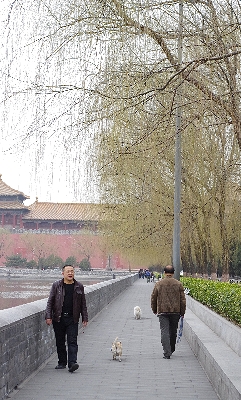 f0126515_22322262.jpg