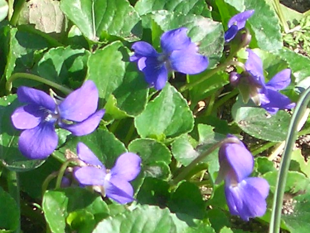 d0169618_20145231.jpg