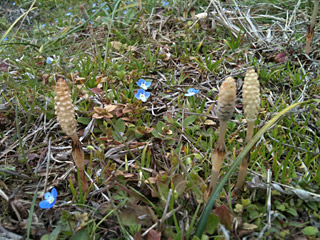 f0086618_232322.jpg