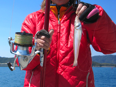 b0186119_19311371.jpg