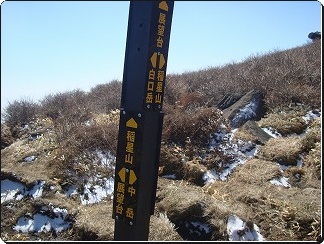 f0193521_1552347.jpg