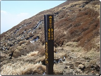 f0193521_1613546.jpg