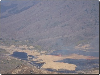 f0193521_16281015.jpg