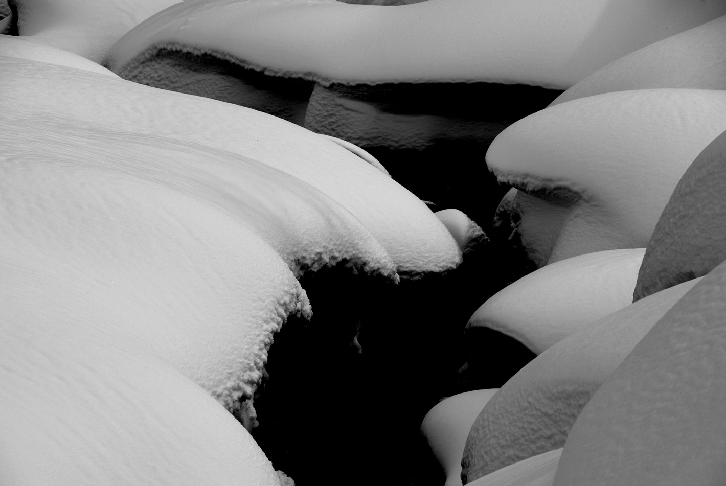 b0062024_20104942.jpg