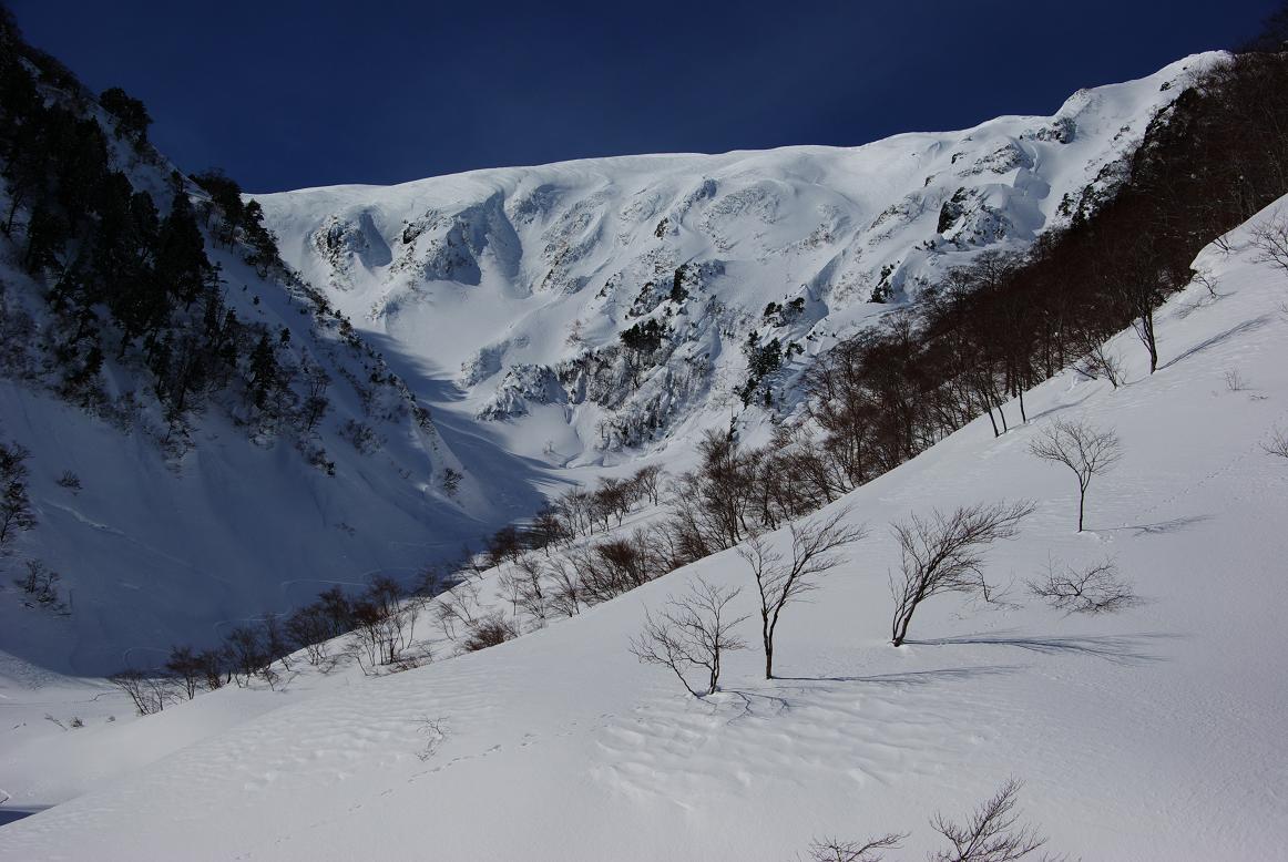 b0062024_204467.jpg