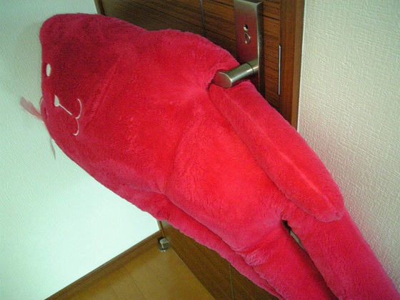 b0199924_13472719.jpg