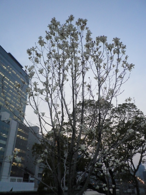 c0195327_11164847.jpg