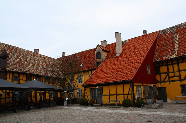 c0153740_1454726.jpg