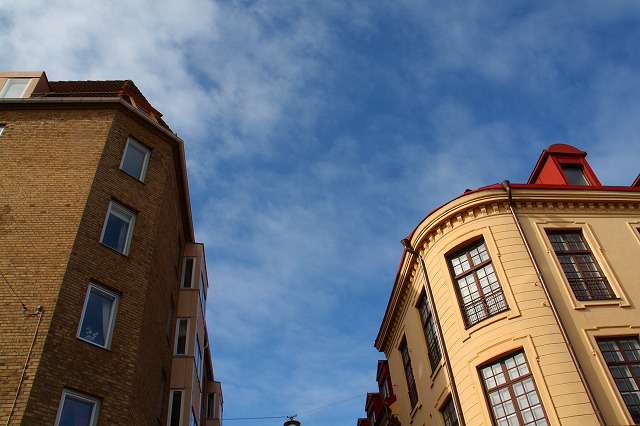 c0153740_253566.jpg