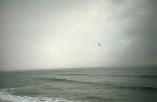 c0095644_1501380.jpg