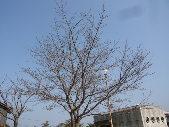 e0206847_934474.jpg