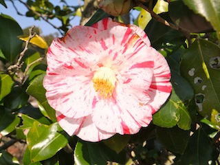 f0213347_21452489.jpg